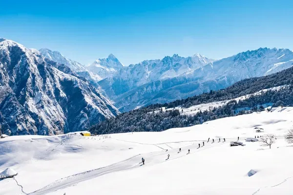 Auli