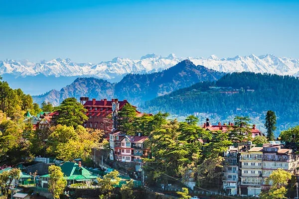 Shimla
